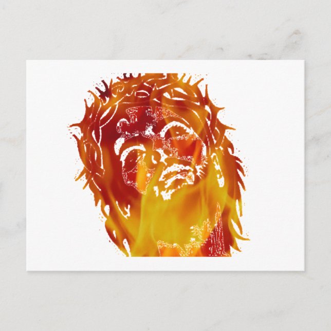 Carte Postale Dites non à la stupidité et à l'ignorance. (Devant)