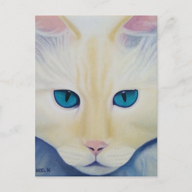 Carte postale Ditto (Devant)