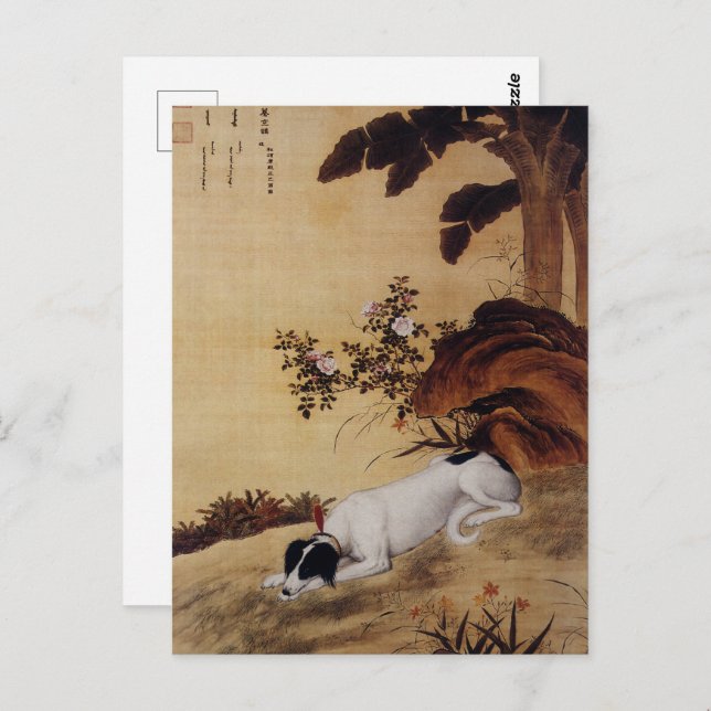 Carte Postale Dix Chiens primés - Mukongque (lévriers chinois) (Devant / Derrière)