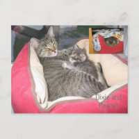 Dixie & Arachide dans le lit de Peanut