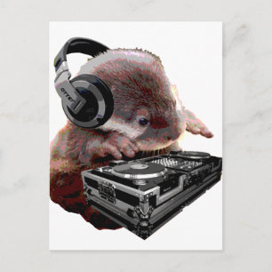 Carte Postale DJ None Otter