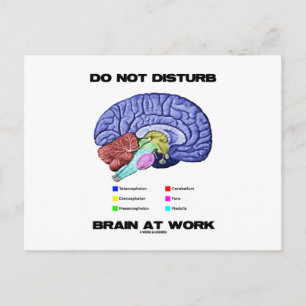 Carte Postale Do Not Disturb Brain At Work