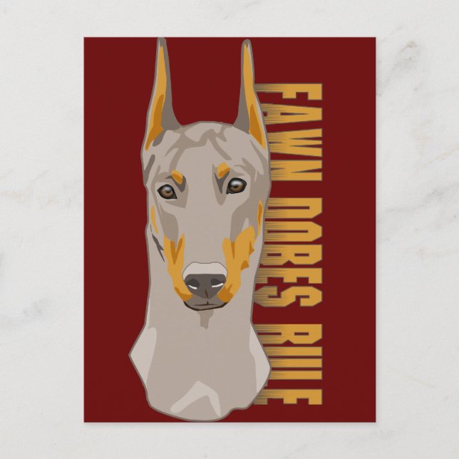 Carte Postale Doberman Head, Fawn Dogs Rule (Devant)