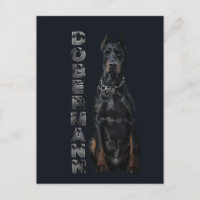Doberman Pinscher