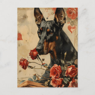Carte Postale Doberman Saint-Valentin vintage 