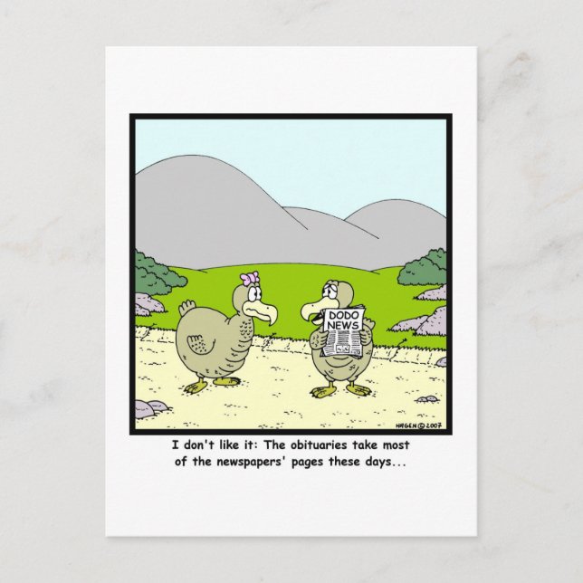 Carte Postale Dodo News : Dessin de Dodo (Devant)