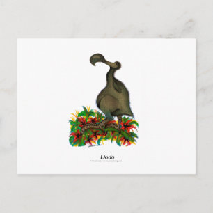 Carte Postale Dodo, tony fernandes
