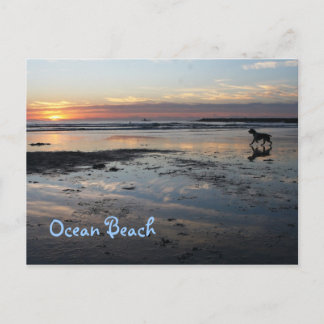 Carte Postale Dog Beach, Ocean Beach