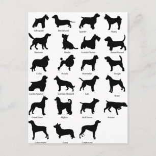 Carte Postale Dog Breeds