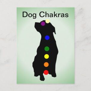 Carte postale Dog Chakras