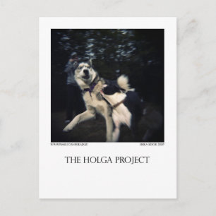 Carte postale Dog Park 13