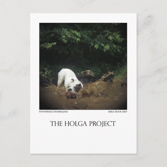 Carte postale Dog Park 14 (Devant)