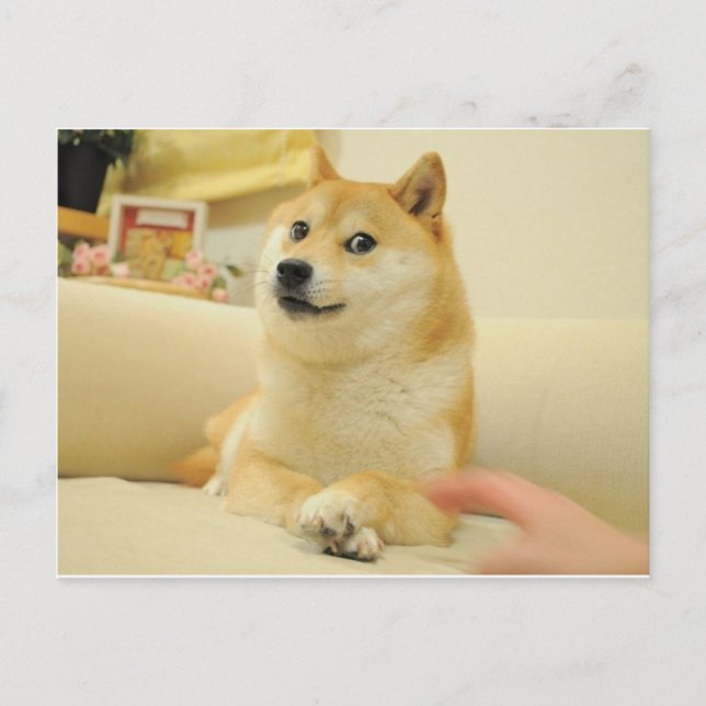 Carte Postale Doge (Devant)