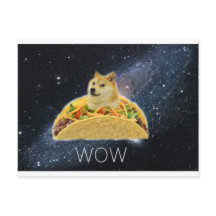 doge space taco meme