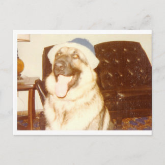 Carte Postale Doggie_Casquette