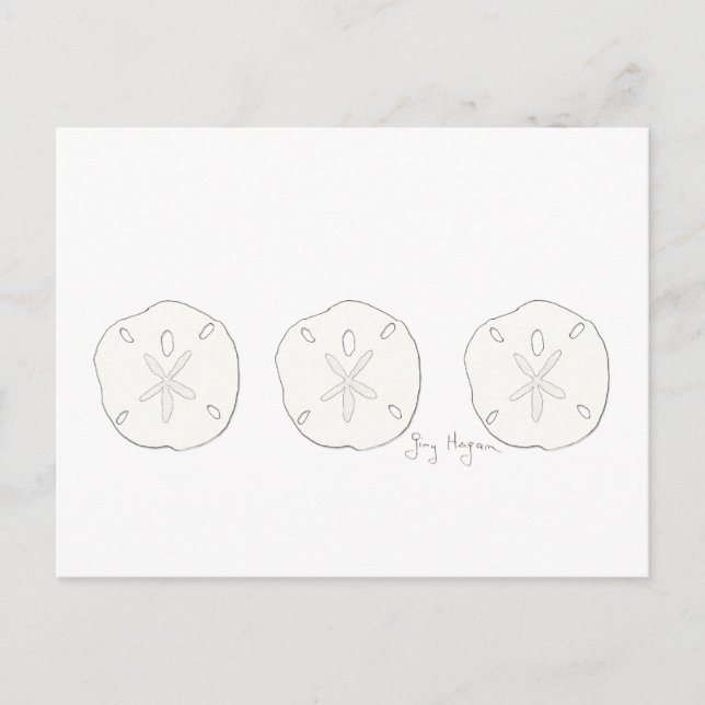 Carte postale Dollars de sable (Devant)