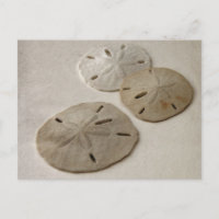 Dollars de sable vintages