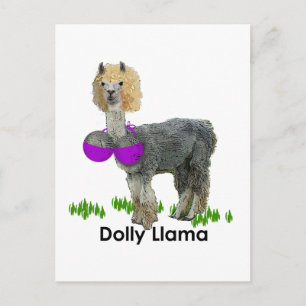 Carte Postale Dolly Llama