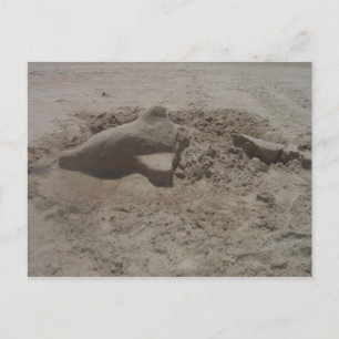Carte postale Dolphin Sandcastle broyé