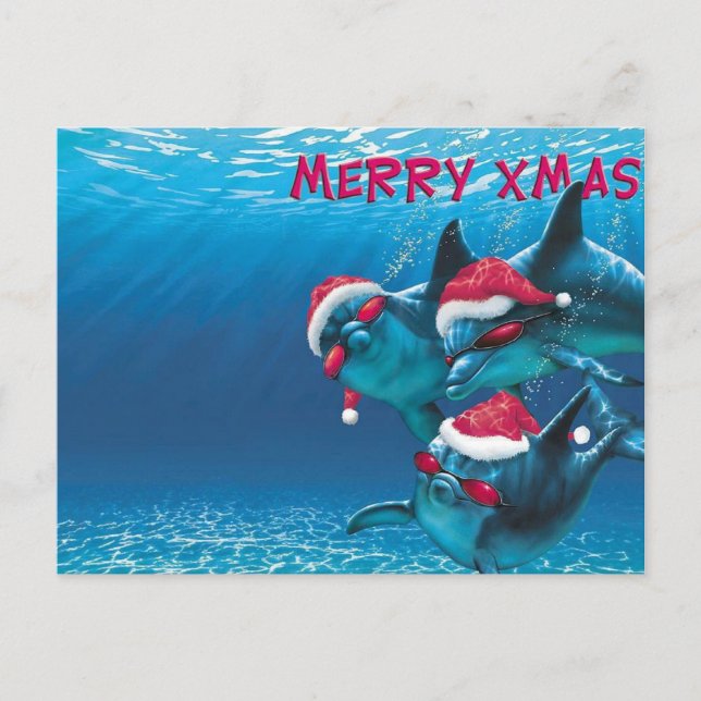 Carte Postale Dolphin Santa Hat Noël drôle (Devant)