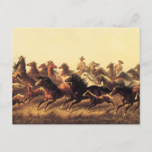 Carte Postale Domptage de chevaux sauvages par James Walker