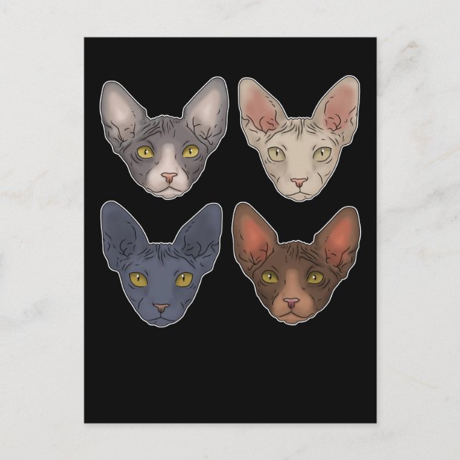 Carte Postale Don De Chat Sphynx Pour Homme Sphynx Chat (Devant)