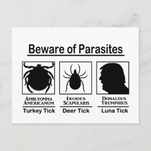 Carte Postale Donald Trump méfiez-vous des parasites