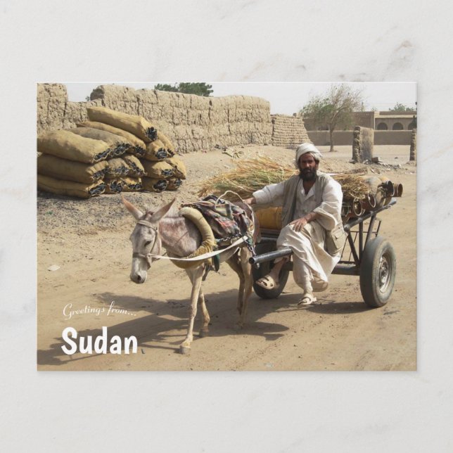 Carte Postale Donkey Cart au Soudan (Devant)