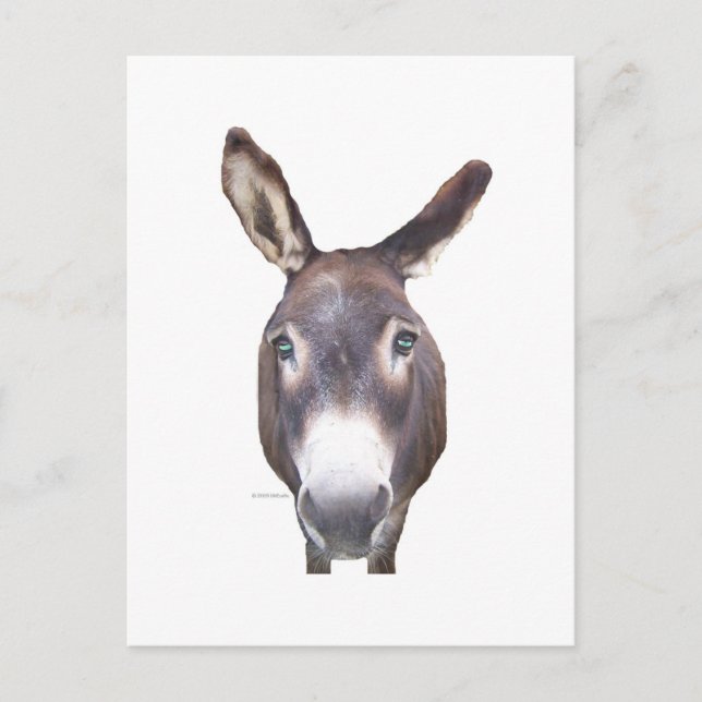 Carte Postale Donkey dans votre visage (Devant)