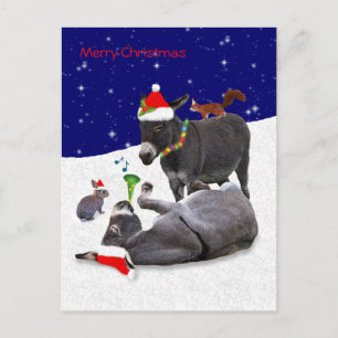 Carte postale Donkey Daze