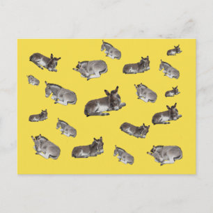 Carte Postale Donkey Mania