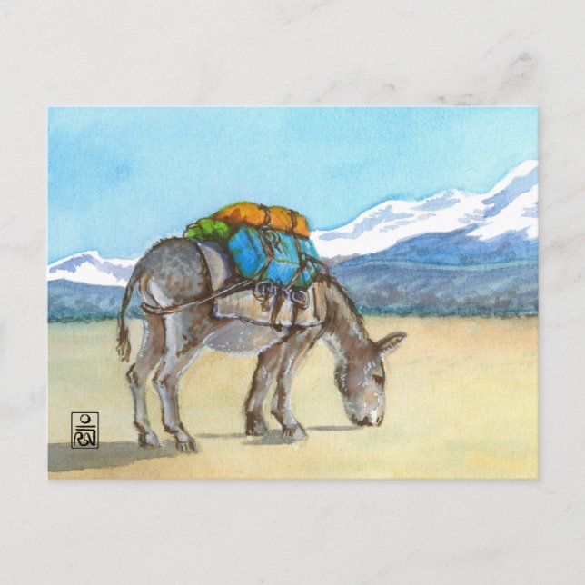 Carte Postale Donkey sur High Plateau, Amérique du Sud (Devant)