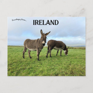 Carte Postale Dons à Doora Irlande