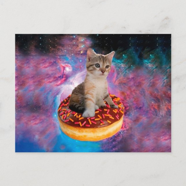 Carte Postale Donut Cat (Devant)