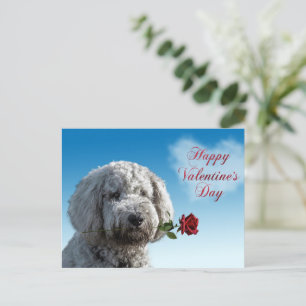 Carte postale Doodle Dog de la Saint-Valentin