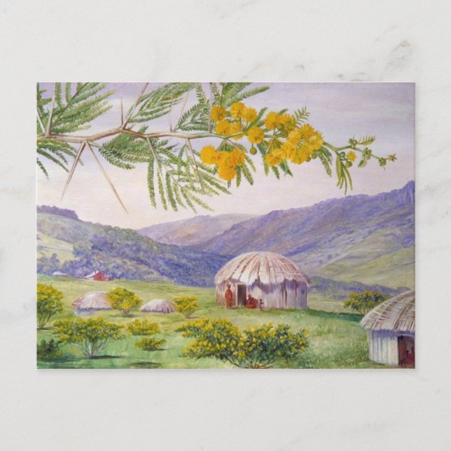 Carte Postale Doornboom sud-africain, Marianne Artiste nord (Devant)