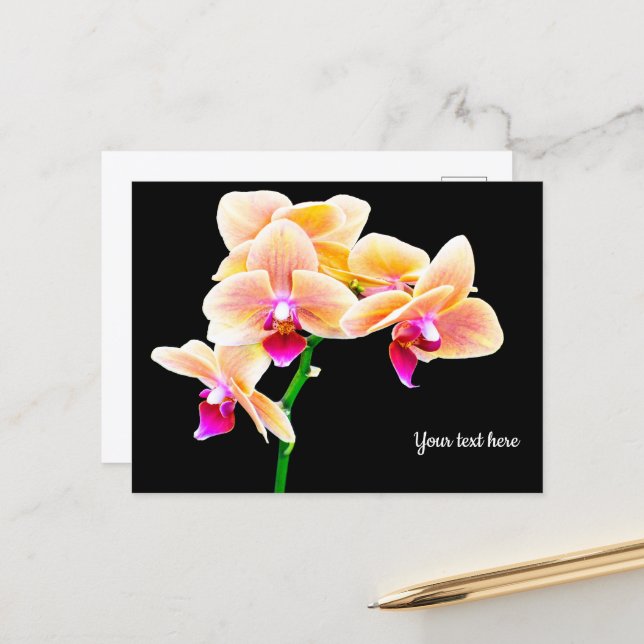Carte postale d'orchidée (Devant/Arrière en situation)