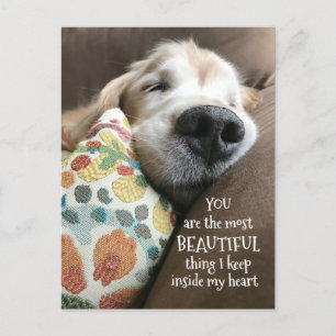 Carte Postale Dormant Golden Retriever belle chose amour