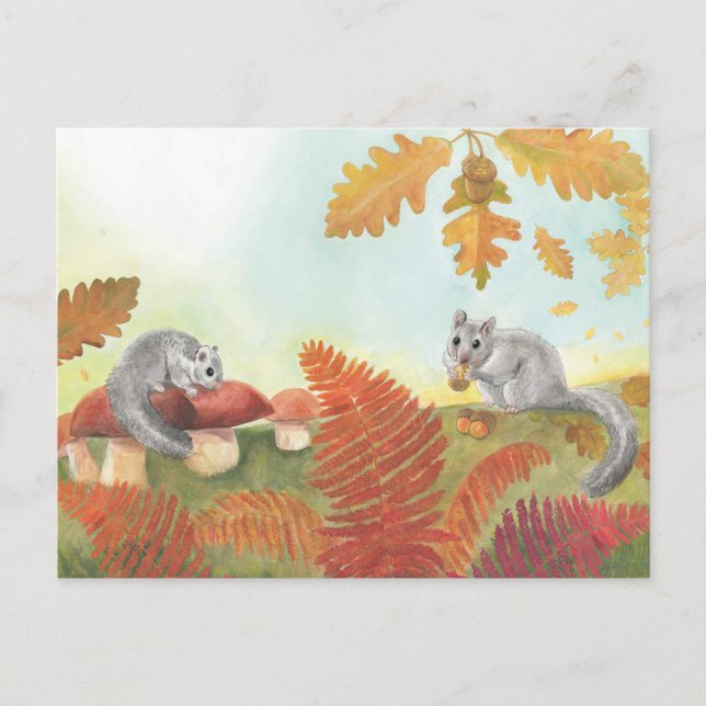 Carte Postale Dormice comestible (Glis glis) dans la nature (Devant)