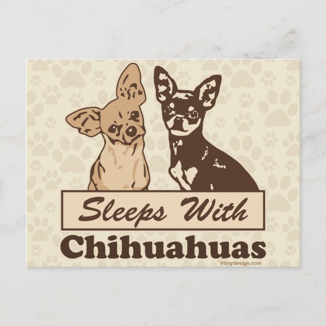 Carte Postale Dors Avec Chihuahuas (Devant)