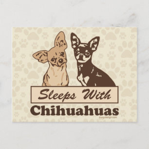 Carte Postale Dors Avec Chihuahuas