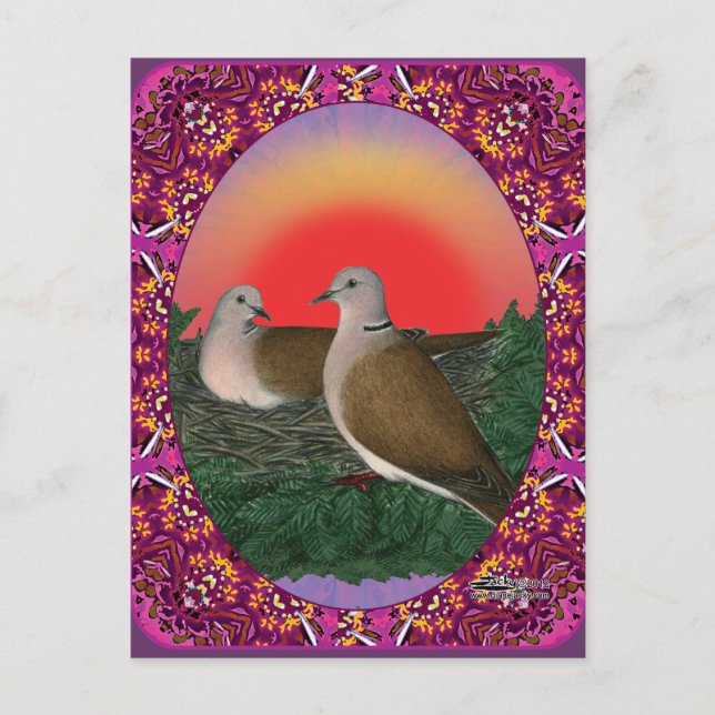 Carte Postale Doses encadrées (Devant)