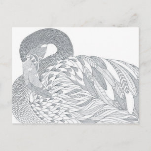 carte postale double face cygne adulte couleur cad