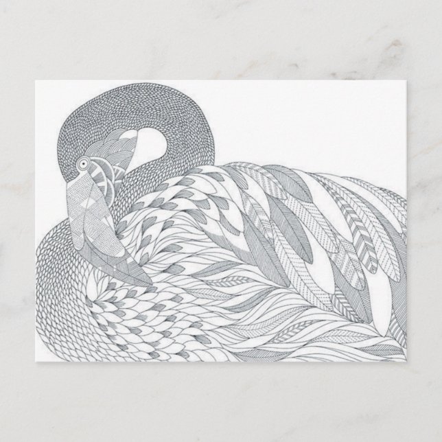carte postale double face cygne adulte couleur cad (Devant)