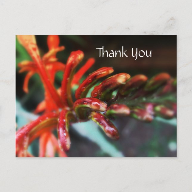 Carte postale Douche à fleurs (Devant)