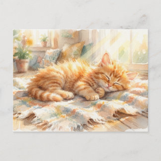 Carte Postale Doux petit chaton qui prend un bain de soleil 