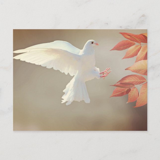 Carte Postale Dove Christian inspirational (Devant)