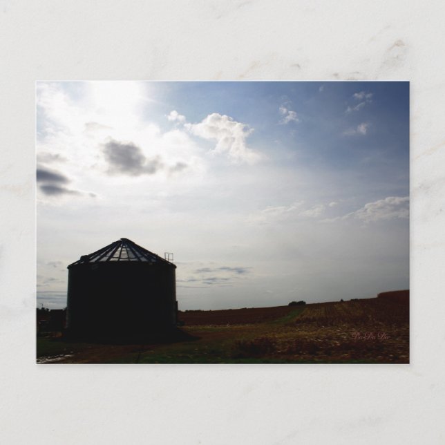 Carte Postale Down on the farm. (Devant)