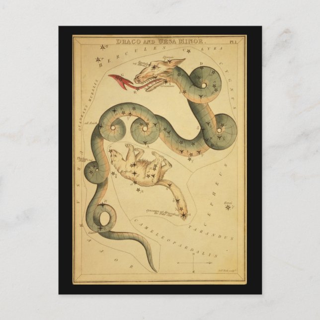 Carte Postale Draco et Ursa Minor (Devant)