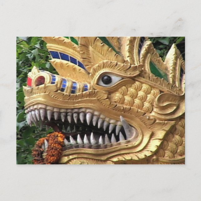 Carte Postale Dragon (Devant)